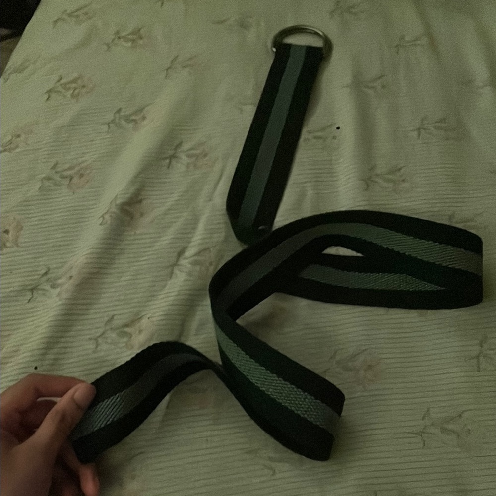 Gray and Black Striped Belt